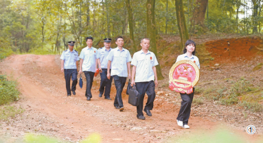Circuit court under camphor tree